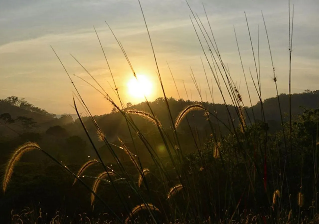 럭셔리텐트 Orchard Nature Safari Camp Resort Melaka 말레이시아